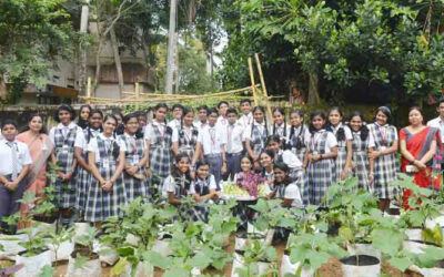 Students Harvested the Vegetables