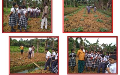 SEED Club of Saraswathi Vidyalaya