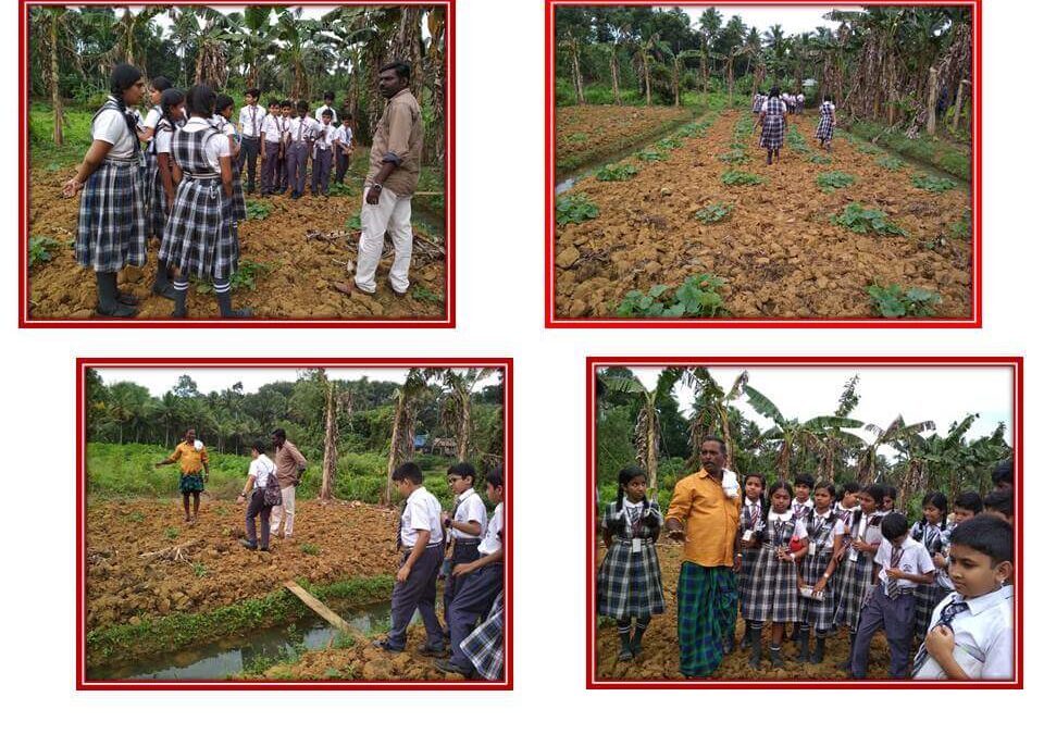 SEED Club of Saraswathi Vidyalaya